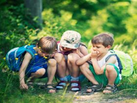 Outdoor preschools in Singapore