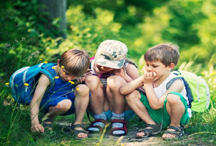 Outdoor preschools in Singapore