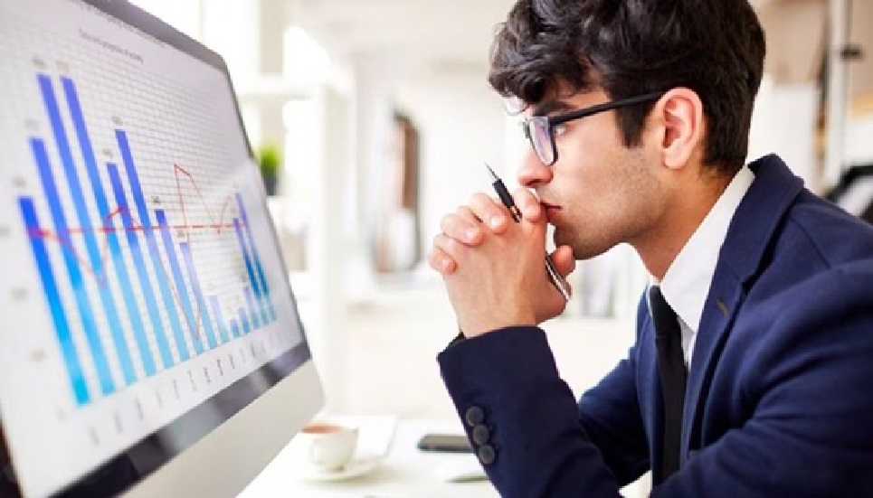 Data Analysts